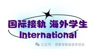 微信图片_2026-06-11_093717_298.jpg