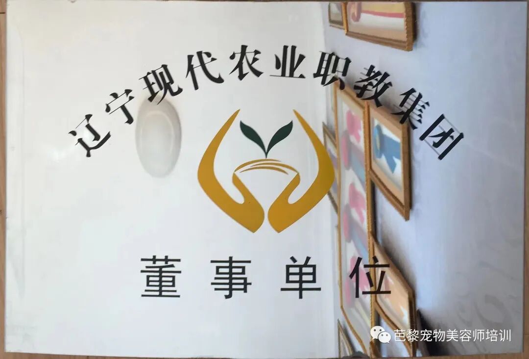 1782453108746618.jpg 微信图片_2026-06-11_093803_931.jpg